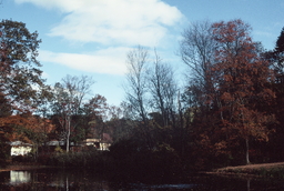 Veterans Park Lake Velvia