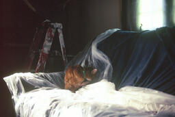 Creature of Habit