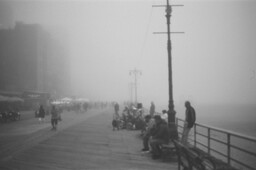 Boardwalk