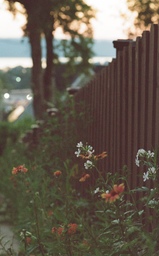 Clinton Street River Flowers Film