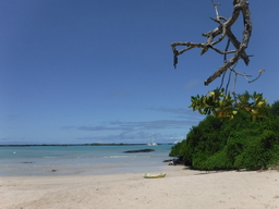 Galapagos Beach