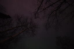 Fairbanks Big Dipper Aurora Green Purple