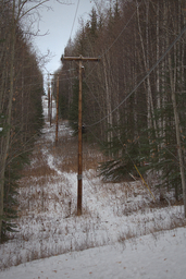 Fairbanks Electricity